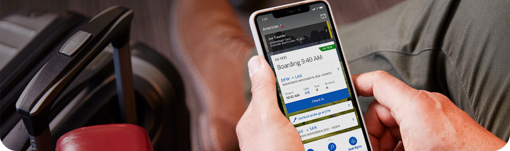 Boarding pass and flight information on the app